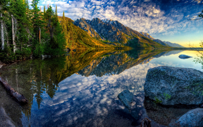 Обои картинки фото природа, реки, озера, камни, деревья, grand, teton, берег, лес, горы, отражение, озеро, сша, jenny, lake