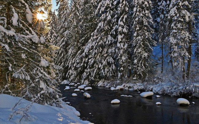 Обои картинки фото природа, реки, озера, река, деревья, зима