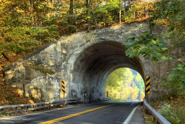 Обои картинки фото природа, дороги, лес, шоссе, тоннель
