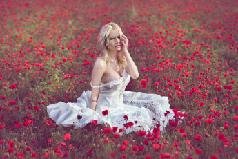 Картинка девушки -unsort+ блондинки vanessa galway настроение поле луг девушка цветы маки платье