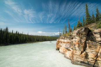 Картинка природа реки озера bow river река боу alberta скала canada альберта канада лес