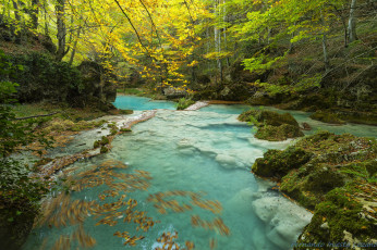 Картинка природа реки озера лес река поток вода