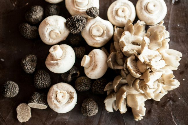 Обои картинки фото еда, грибы,  грибные блюда, вешенки, шампиньоны