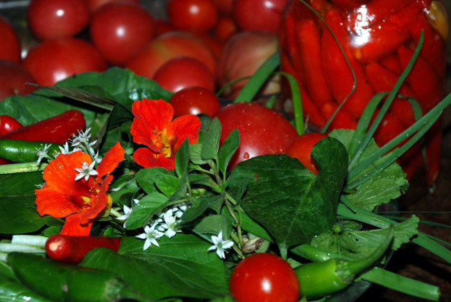 Обои картинки фото еда, овощи, перец, настурция, помидоры, зелень