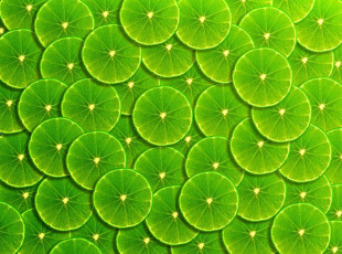 Картинка векторная+графика еда+ food фон green лайм фрукты ломтики background fruit lime frangipani slice