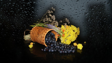 Картинка еда натюрморт фото елена аникина ягода черника сухоцвет