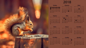 Картинка календари компьютерный+дизайн семечки пень белка профиль