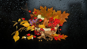 Картинка природа Ягоды +рябина шиповник рябина натюрморт осень фото елена аникина