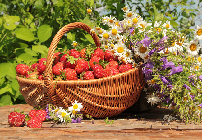 Обои картинки фото еда, клубника,  земляника, цветы, солнце, ромашки, корзина, лето, ягода, колокольчики, зелень