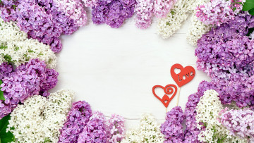 Картинка праздничные день+святого+валентина +сердечки +любовь белый лиловый