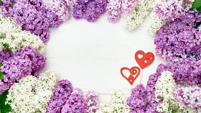 Обои картинки фото праздничные, день святого валентина,  сердечки,  любовь, белый, лиловый