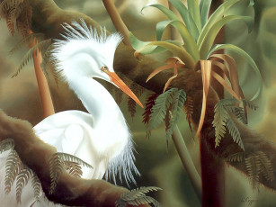 Картинка рисованные животные птицы цапли желтоклювая