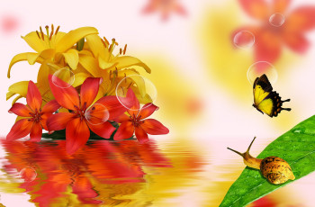 Картинка разное компьютерный дизайн цветы улитка бабочка