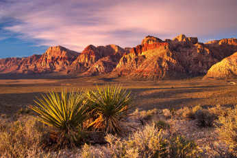 Картинка природа горы растение кактус закат небо агава пустыня скалы