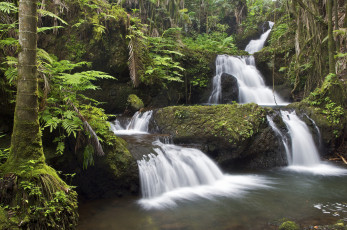 Картинка природа водопады каскад гавайи поток водопад река деревья лес