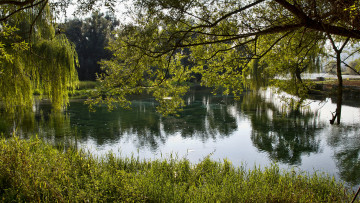 Картинка природа реки озера излучина река лес