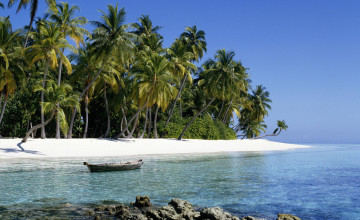 Картинка корабли лодки +шлюпки пляж лодка пальмы море остров