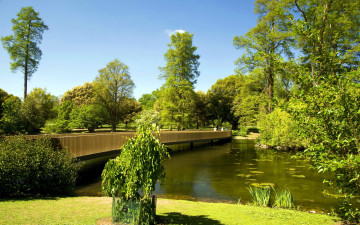 Картинка природа парк мост река лето деревья