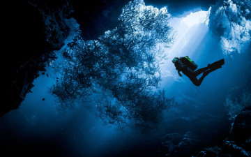 Картинка спорт экстрим вода море водолаз человек океан дайвер дайвинг под водой