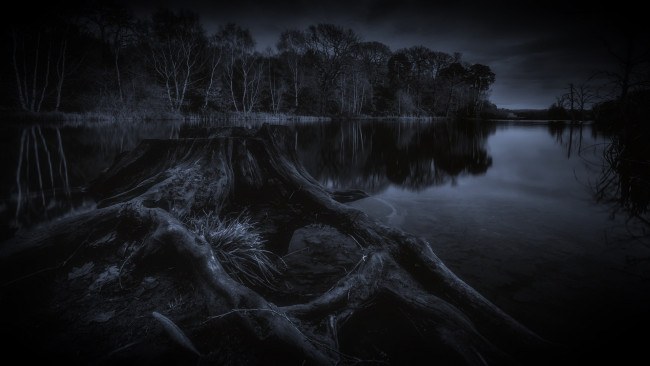 Обои картинки фото природа, реки, озера, деревья, река, ночь