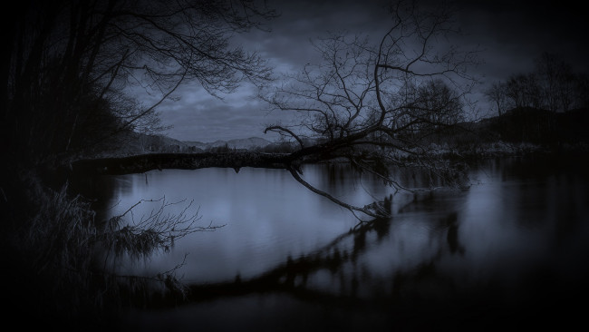 Обои картинки фото природа, реки, озера, деревья, река, ночь
