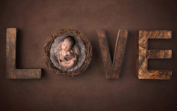 Картинка разное дети младенец гнездо буквы любовь надпись