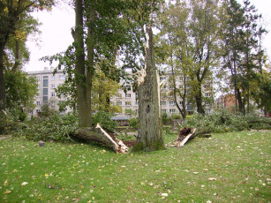 Картинка буря 12 10 2007 елгаве латвия города другое