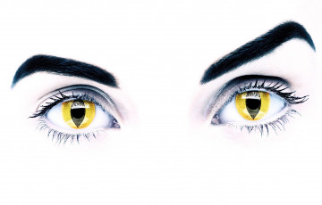 Картинка разное глаза брови зрачки