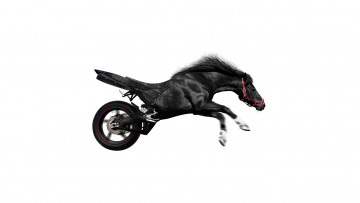 Картинка разное компьютерный дизайн лошадь мотоцикл