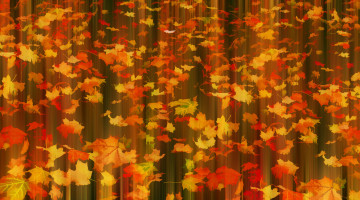 Картинка разное компьютерный+дизайн листья осень fall in motion