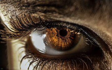 Картинка разное глаза pupil iris eyelash eye