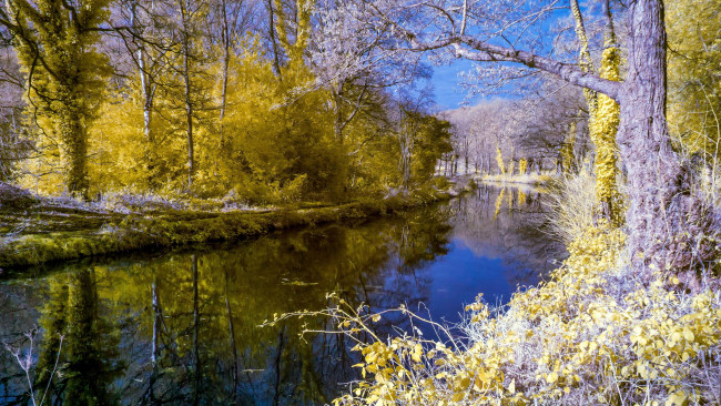 Обои картинки фото природа, реки, озера, осень, деревья
