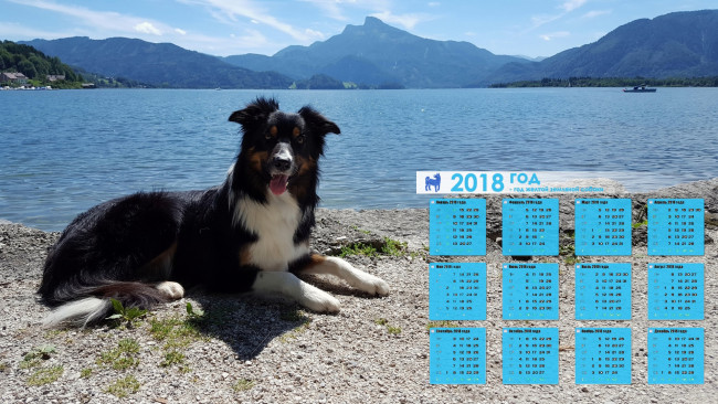 Обои картинки фото календари, животные, водоем, собака, лодка, гора