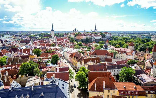 Обои картинки фото города, таллин , эстония, панорама
