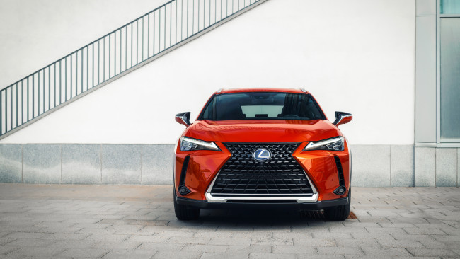 Обои картинки фото 2019 lexus ux 250h, автомобили, lexus, лексус, кроссовер, 2019, 250h, ux