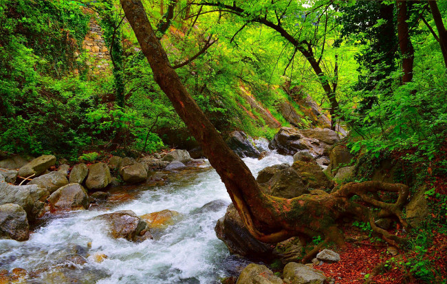Обои картинки фото природа, реки, озера, поток, весна, лес, камни, речка, spring, river, forest, flow