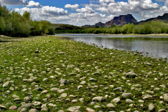 Картинка природа реки озера река камни трава деревья