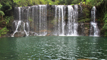 Картинка природа водопады растения вода