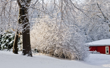 обоя природа, зима, дом, снег, кусты