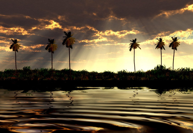 Обои картинки фото 3д, графика, nature, landscape, природа, закат, пальма