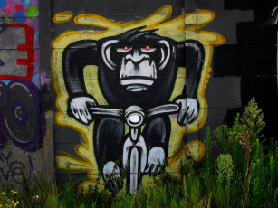 Картинка разное граффити стена трава забор обезьяна