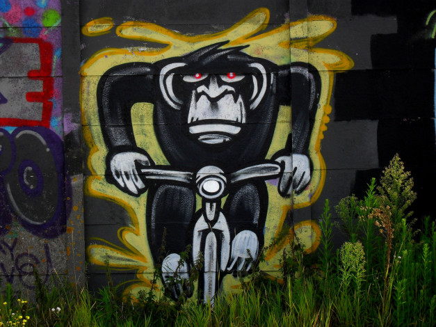 Обои картинки фото разное, граффити, стена, трава, забор, обезьяна