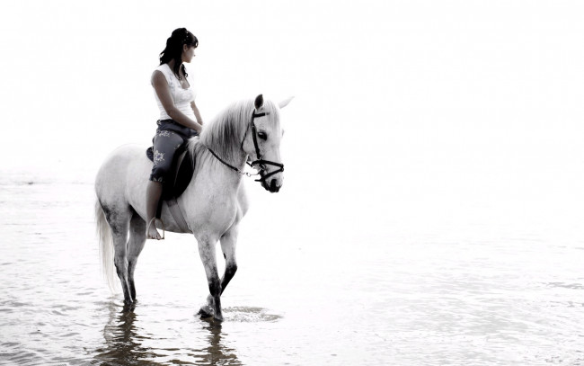 Обои картинки фото животные, лошади, девушка, лошадь, вода