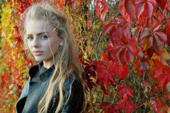 Картинка девушки -unsort+ лица +портреты взгляд девушка блондинка голубоглазая осень