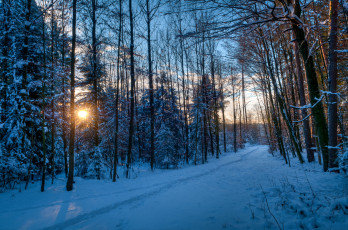 Картинка природа зима тропинка снег лес