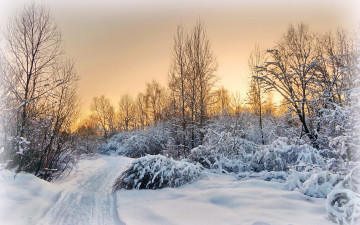 Картинка природа зима дорога закат пейзаж снег деревня