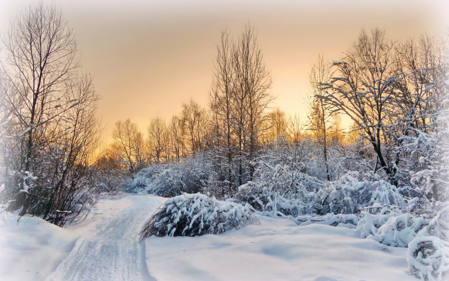 Обои картинки фото природа, зима, дорога, закат, пейзаж, снег, деревня