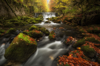 Картинка природа водопады ущелье аройзе switzerland areuse gorge val-de-travers осень лес мох листья швейцария водопад каскад река камни