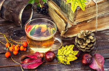 Картинка еда напитки +Чай шишка каштаны рябина ягоды листья доски ситечко книги чай чашка
