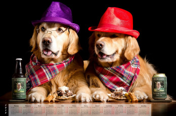Картинка календари животные двое собака банка шляпа черный фон